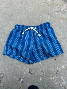 Zara Navy Striped Swim Trunks, size 5 (3T-4T)
